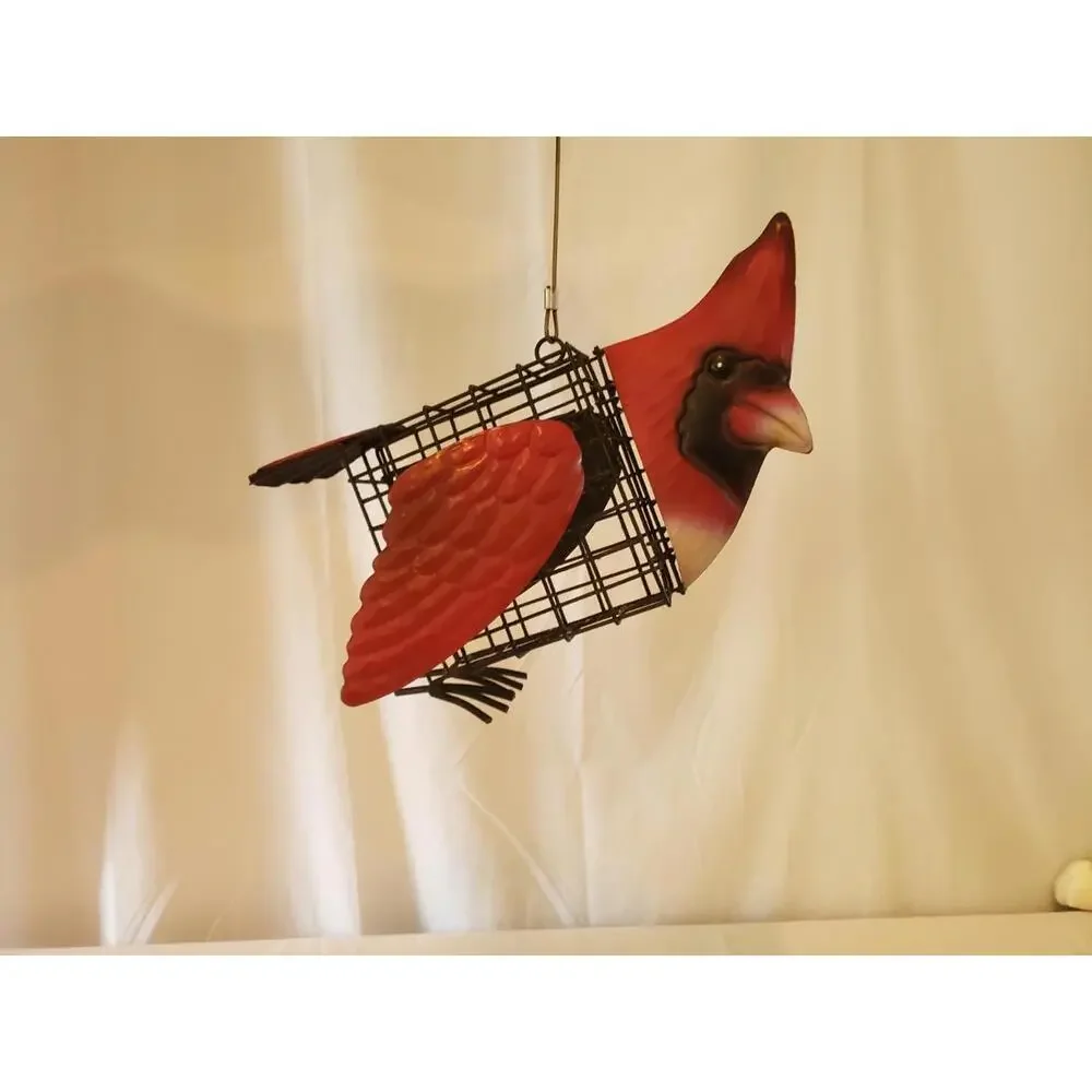 N/A red cardinal